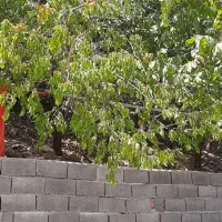 بالای ۲۰۰۰متری باغ با بنای ۸۰متری با انشعابات