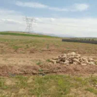 زمین-کشاورزی