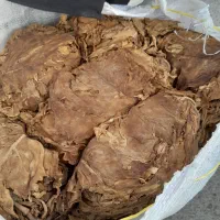 برگ کاهو