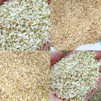 برنج نیم دانه چمپا