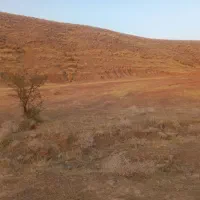 زمین|فروش زمین و ملک کلنگی|مسجد سلیمان, |دیوار