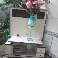 گلدان وگل ومیز تلویزیون
