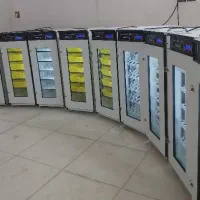 دستگاه جوجه کشی درب سبــکorginal