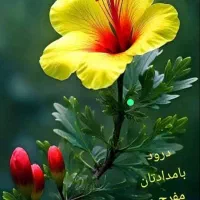 راهنمایی