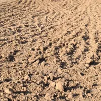 اجاره زمین کشاورزی