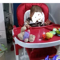 صندلی غذا کودک|اسباب و اثاث بچه|ورامین, ورامین|دیوار