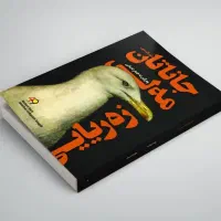 ترجمه و تایپ و آموزش زبان کردی