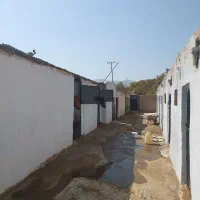 پانسیون و نگهداری اسب|اسب و تجهیزات اسب‌سواری|کوهسار (البرز), |دیوار