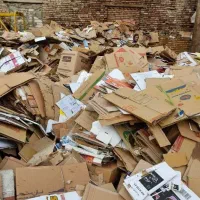 رانی کارتون|عمده‌فروشی|رباط‌کریم, رباط‌کریم|دیوار