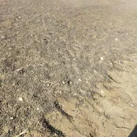 کود حیوانی گاوی گوسفندی|لوازم جانبی حیوانات|اهواز, زرگان|دیوار