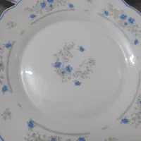 سرویس ۲۴نفره