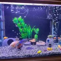 آکواریوم ۶۰ در ۴۰ شرکتی