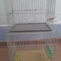قفس