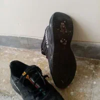 کفش|کیف، کفش، کمربند|رباط‌کریم, الارد|دیوار