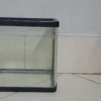 اکواریوم شیشه خم