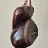 تار حرفه ای با مهر قسمتی