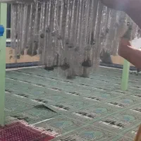 لوستر سالم مرتب