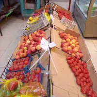 قفسه میوه فروشی|فروشگاه و مغازه|مشهد, نوده|دیوار