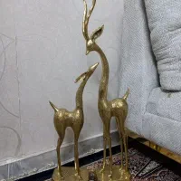 برنجی