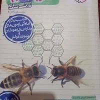 کتاب تست نهم|لوازم التحریر|شیراز, رازی|دیوار