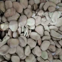 لوبیا چیتی|خوردنی و آشامیدنی|زرندیه, |دیوار