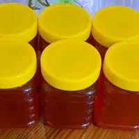 فروش عسل درجه یک آذربایجان