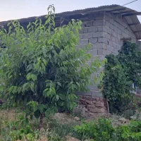 خانه-باغ-قشلاق
