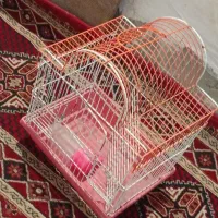 قفس|لوازم جانبی حیوانات|زاهدان, |دیوار