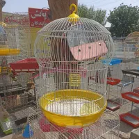 قفس پرنده