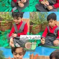 کودکستان ،مهد کودک، پیش دبستانی تابان|خدمات آموزشی|گلبهار, شهر جدید گلبهار|دیوار