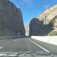 هم مسیرازشیرازبه بوشهر