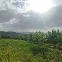 باغ