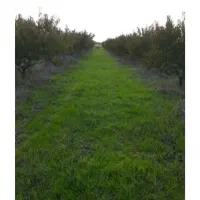 فروش زمین باغی