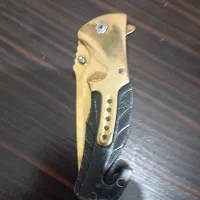 برینیک طلایی