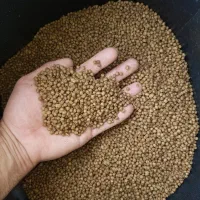 توزیع بچه ماهی قزل الا و بچه ماهی کپور کوهان دار|ماهی|زنجان, |دیوار