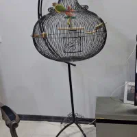 قفس آویز بزرگ طوطی با ساخت سفارشی