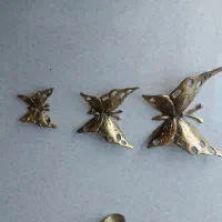 پروانه برنجی