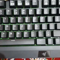 کیبورد مکانیکی ریزر blackwidow ultimate|قطعات و لوازم جانبی رایانه|کرج, باغستان|دیوار