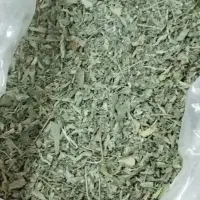 پونه کوهی