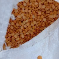 لپه|خوردنی و آشامیدنی|نهاوند, |دیوار
