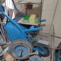 قفس پرنده کشاورزی فرغون والف