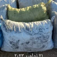 ژغال کبابی|کوهنوردی و کمپینگ|رستم, |دیوار