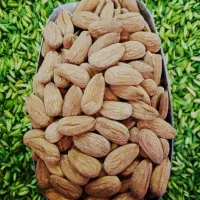 خرید انواع بادام|خوردنی و آشامیدنی|شهرکرد, |دیوار