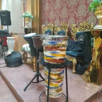 اجرای نوازندگی وخوانندگی شادشاد