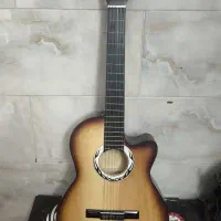 گیتار به همراه کیف و همه وسایل