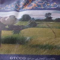 برنج GTCCO