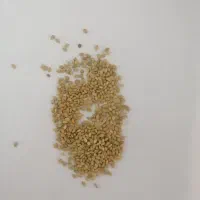 بذر یونجه پابلند صدرصد تضمینی