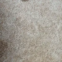 موکت پالاز موکت