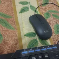 یک موس و یک کیبورد در حد نو