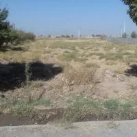 سه هزارمترزمین مشاهیر|فروش زمین و ملک کلنگی|نیشابور, شهرکهنه|دیوار